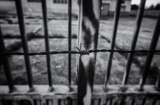 Barbed wire detail for protection and security