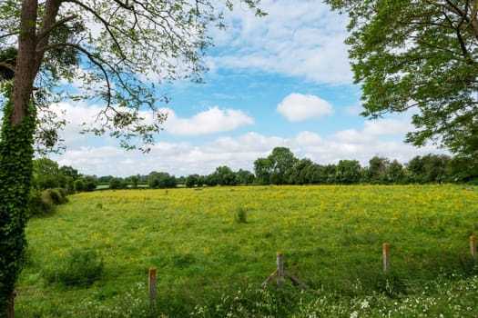 a view of normandy countryside, Bayeux, Calvados