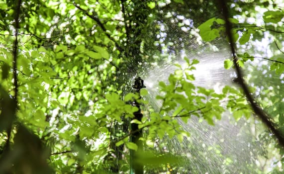 Detail of sprinkler throwing water to irrigate crops