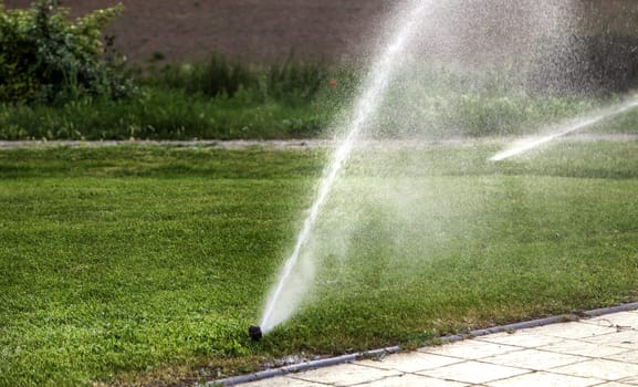 Detail of sprinkler throwing water to irrigate crops