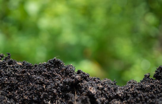 Background with soil and green from nature. Environmental protection concept, reforestation, CO2 reduction, recycle.