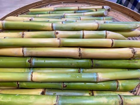 Bamboo shoots for cooking. It is the young bamboo shoot that is edible.