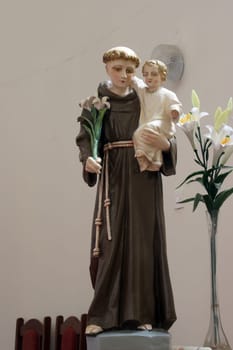 Saint Anthony of Padua, statue on the high altar in parish church of the Saint Mary Magdalene in Kapela, Croatia