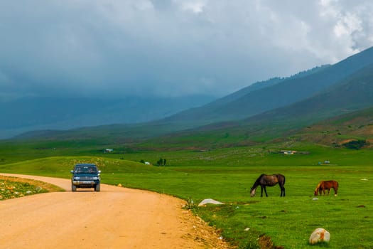 old SUV driving along dry dirt road near grazing horses before thunderstorm in Semenovskoye gorge, Kyrgyzstan at July 5, 2023