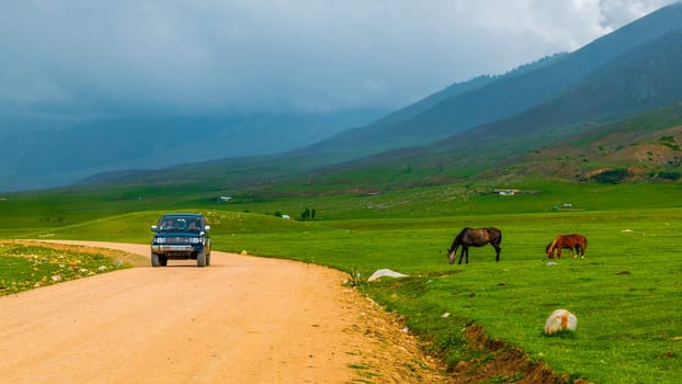 old SUV driving along dry dirt road near grazing horses before thunderstorm in Semenovskoye gorge, Kyrgyzstan at July 5, 2023