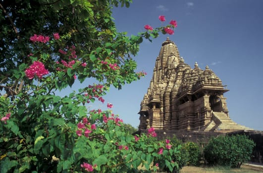 a view of the Erotic Temple and Hindu Temple of Kandarija Mahadeva Temple in the city of Khajurao in Province Madhya Pradesh in India.  India, Khajurao, April, 1998