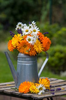 Beautiful fresh summer flowers in watering can on table against blurred  background