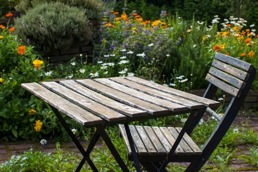 rustic wild garden - old chair and table, spiral with herbs and flowers