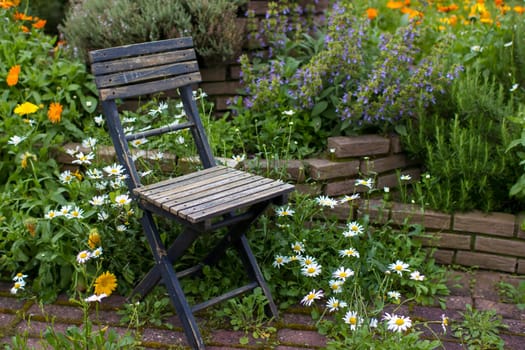 wild garden - herb spiral in the garden with fresh herbs and flowers and old chair