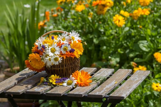 Beautiful fresh summer flowers in wicker basket on table against blurred floral background