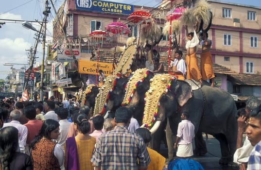 Farmers with their Elephants at the traditional Pooram or Elephant Festival and Temple Festival in the city of Thrissur or Trichur in the Province Kerala in India.  India, Thrissur, April, 1998