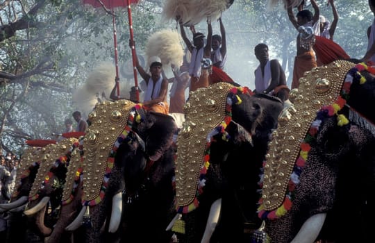 Farmers with their Elephants at the traditional Pooram or Elephant Festival and Temple Festival in the city of Thrissur or Trichur in the Province Kerala in India.  India, Thrissur, April, 1998