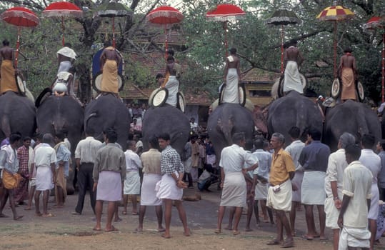 Farmers with their Elephants at the traditional Pooram or Elephant Festival and Temple Festival in the city of Thrissur or Trichur in the Province Kerala in India.  India, Thrissur, April, 1998