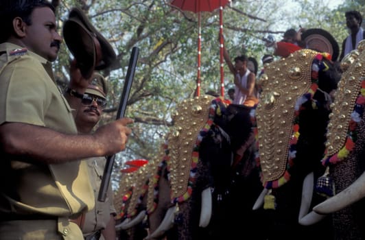 Farmers with their Elephants at the traditional Pooram or Elephant Festival and Temple Festival in the city of Thrissur or Trichur in the Province Kerala in India.  India, Thrissur, April, 1998