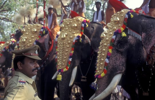 Farmers with their Elephants at the traditional Pooram or Elephant Festival and Temple Festival in the city of Thrissur or Trichur in the Province Kerala in India.  India, Thrissur, April, 1998