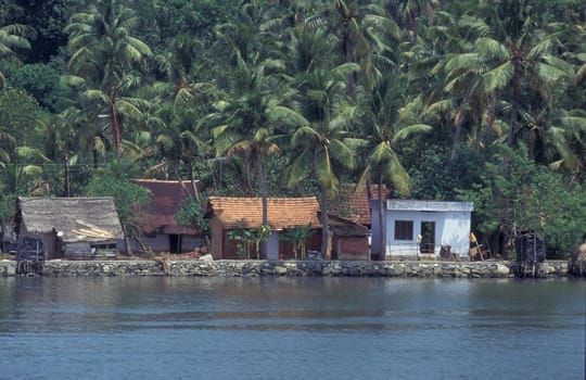 a House with palmtrees at a Canal in the Lagoons and Backwater at the Coast near the city of Kochi or Cochin in the Province Kerala in India.  India, Cochin, April, 1998