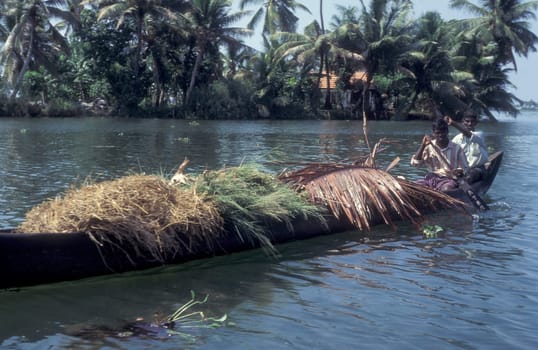 a Farmer with a woodboat at a Canal in the Lagoons and Backwater at the Coast near the city of Kochi or Cochin in the Province Kerala in India.  India, Cochin, April, 1998
