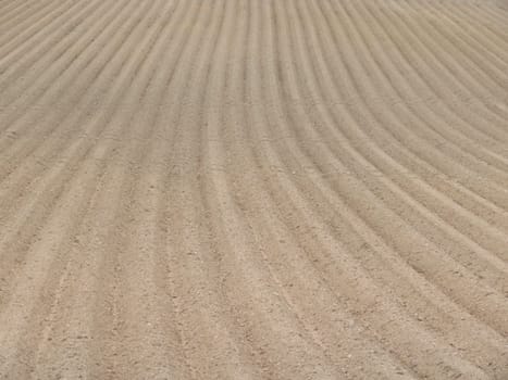furrows field sowing agricultural natural processing parallel land