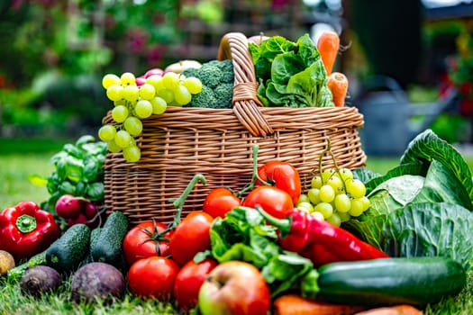Wicker basket with vegetables and fruits in the garden. Balanced diet
