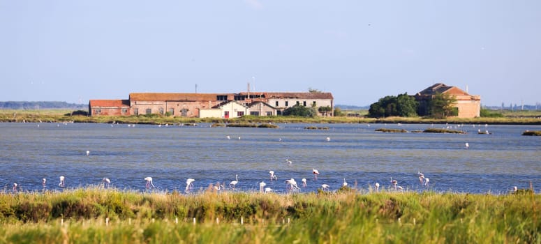 Italy, Comacchio - lagoon with blue sky during summer. Wetland park.