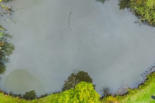 Top view of the pond in the forest. Natural lake on the edge of the forest