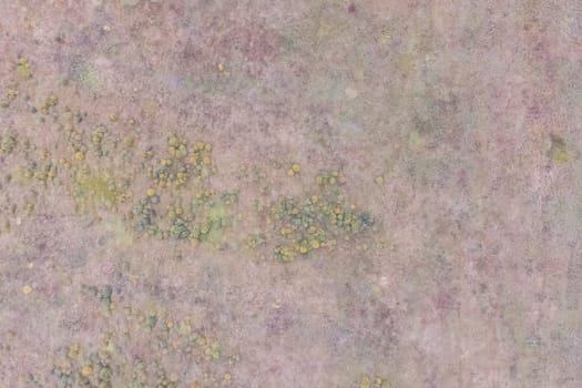 Top view of a field overgrown with grass. Unplowed field