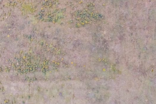 Top view of a field overgrown with grass. Unplowed field