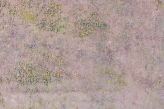 Top view of a field overgrown with grass. Unplowed field