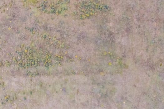 Top view of a field overgrown with grass. Unplowed field