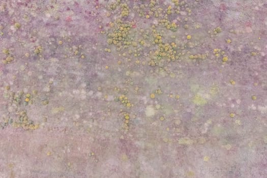 Top view of a field overgrown with grass. Unplowed field