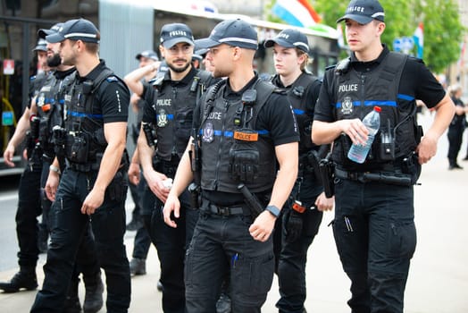 National Day Luxembourg, celebration of the Grand Duke´s birthday, military parade with luxembourgish army, police, fire department, rescue service and armed forced, Luxembourg city, 23.06.2024