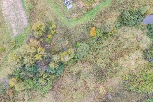 Top view of a field overgrown with grass. Unplowed field