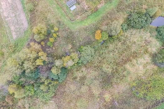 Top view of a field overgrown with grass. Unplowed field