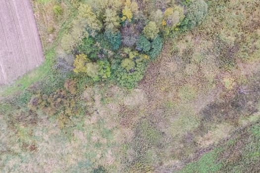 Top view of a field overgrown with grass. Unplowed field