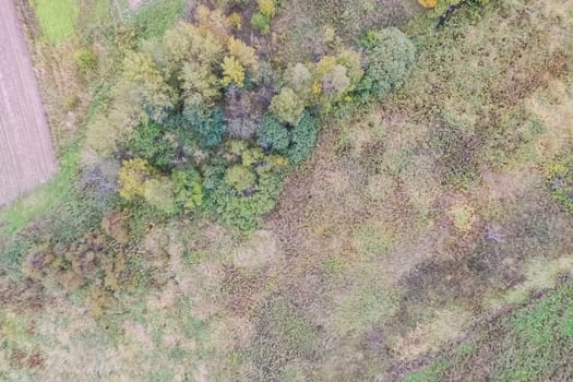 Top view of a field overgrown with grass. Unplowed field