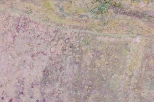 Top view of a field overgrown with grass. Unplowed field