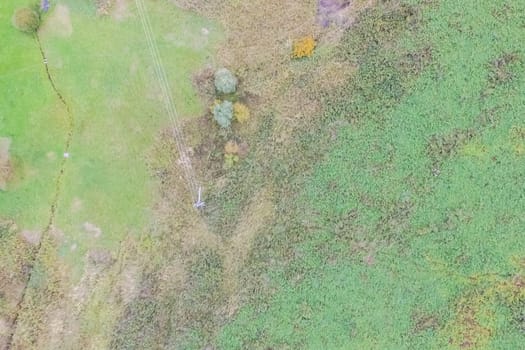 Top view of a field overgrown with grass. Unplowed field