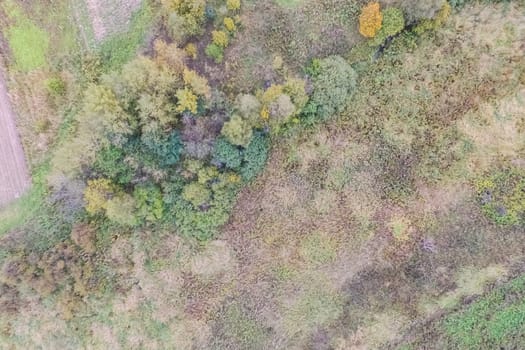 Top view of a field overgrown with grass. Unplowed field