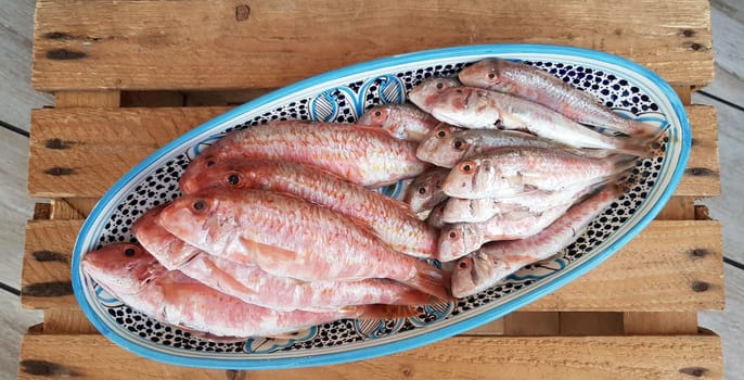 Fresh red mullets fishes stacked in a row on ice trays at the market stock instant prints background high quality down loadings