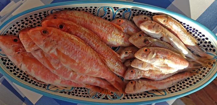 Fresh red mullets fishes stacked in a row on ice trays at the market stock instant prints background high quality down loadings
