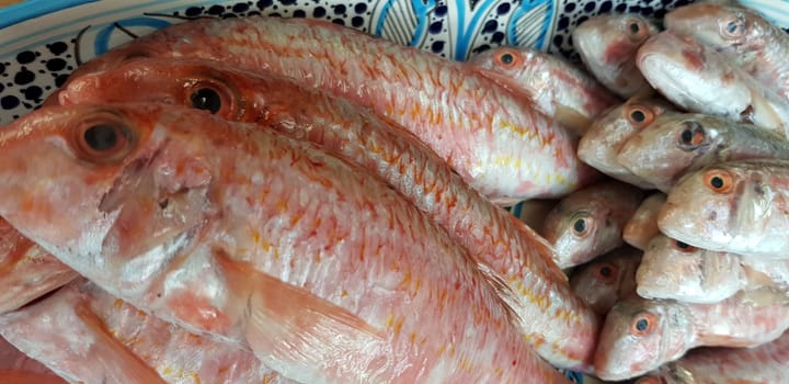 Fresh red mullets fishes stacked in a row on ice trays at the market stock instant prints background high quality down loadings