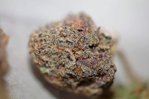 Cannabis various buds super private collection medical marihuana grass mania macro background high quality focus stack fifty megapixels prints