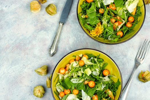 Simple and tasty dishes from wild plants. Fresh raw salads. Space for text.