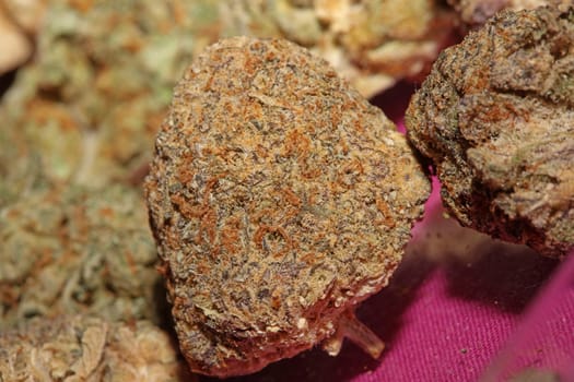 Cannabis various buds super private collection medical marihuana grass mania macro background high quality focus stack fifty megapixels prints