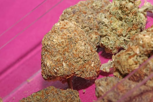 Cannabis various buds super private collection medical marihuana grass mania macro background high quality focus stack fifty megapixels prints