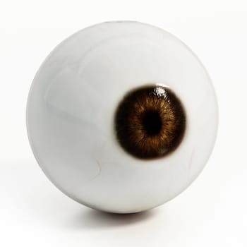 Eyeball isolated on white background. 3D illustration.