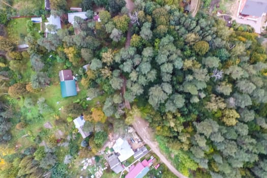 Top view of the village, fields and forests near the village
