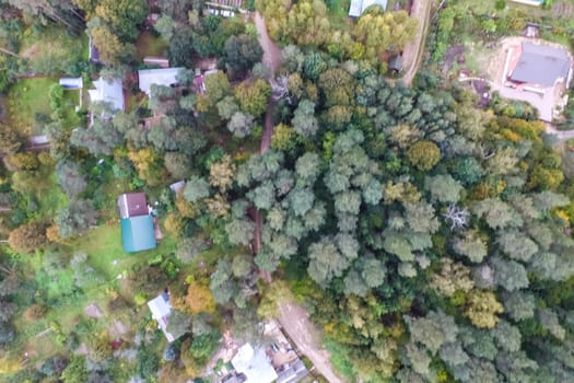 Top view of the village, fields and forests near the village