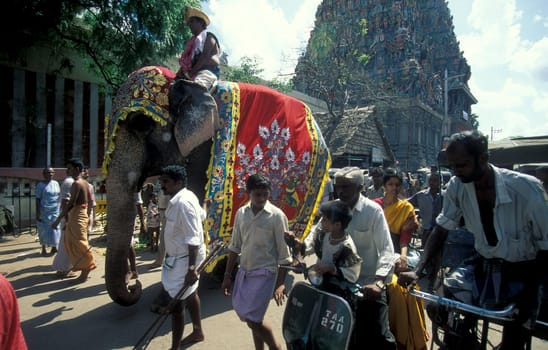 a Hindu Elephant ceremony at the Meenakshi Amman Temple in the city of Madurai in the Province Tamil Nadu in India.  India, Madurai, April, 1998