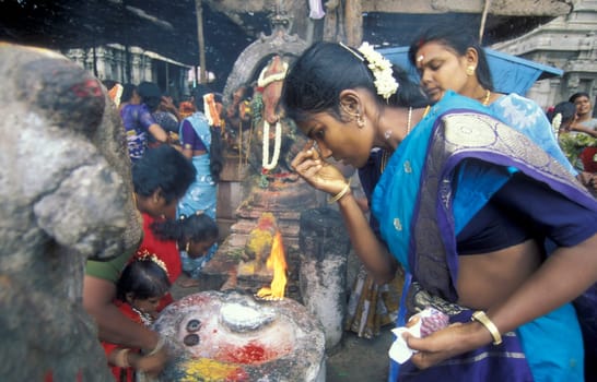 Hindu Pilgrim at a ceremony in the Meenakshi Amman Temple in the city of Madurai in the Province Tamil Nadu in India.  India, Madurai, April, 1998